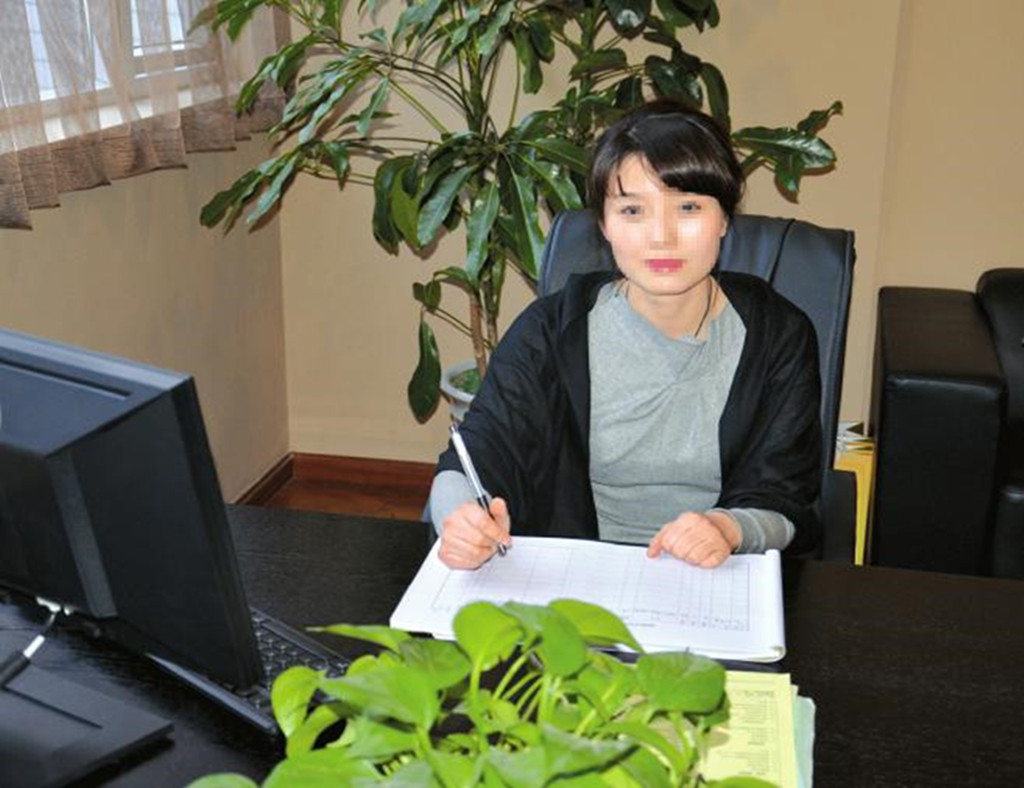 VEMTE減速電機高效節能 精益求精 VEMTE減速電機高效節能 精益求精