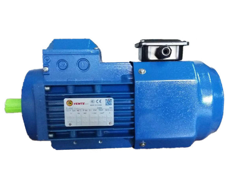 三相變頻電機 VEMT三相異步電機 三相變頻電機 VEMT三相異步電機